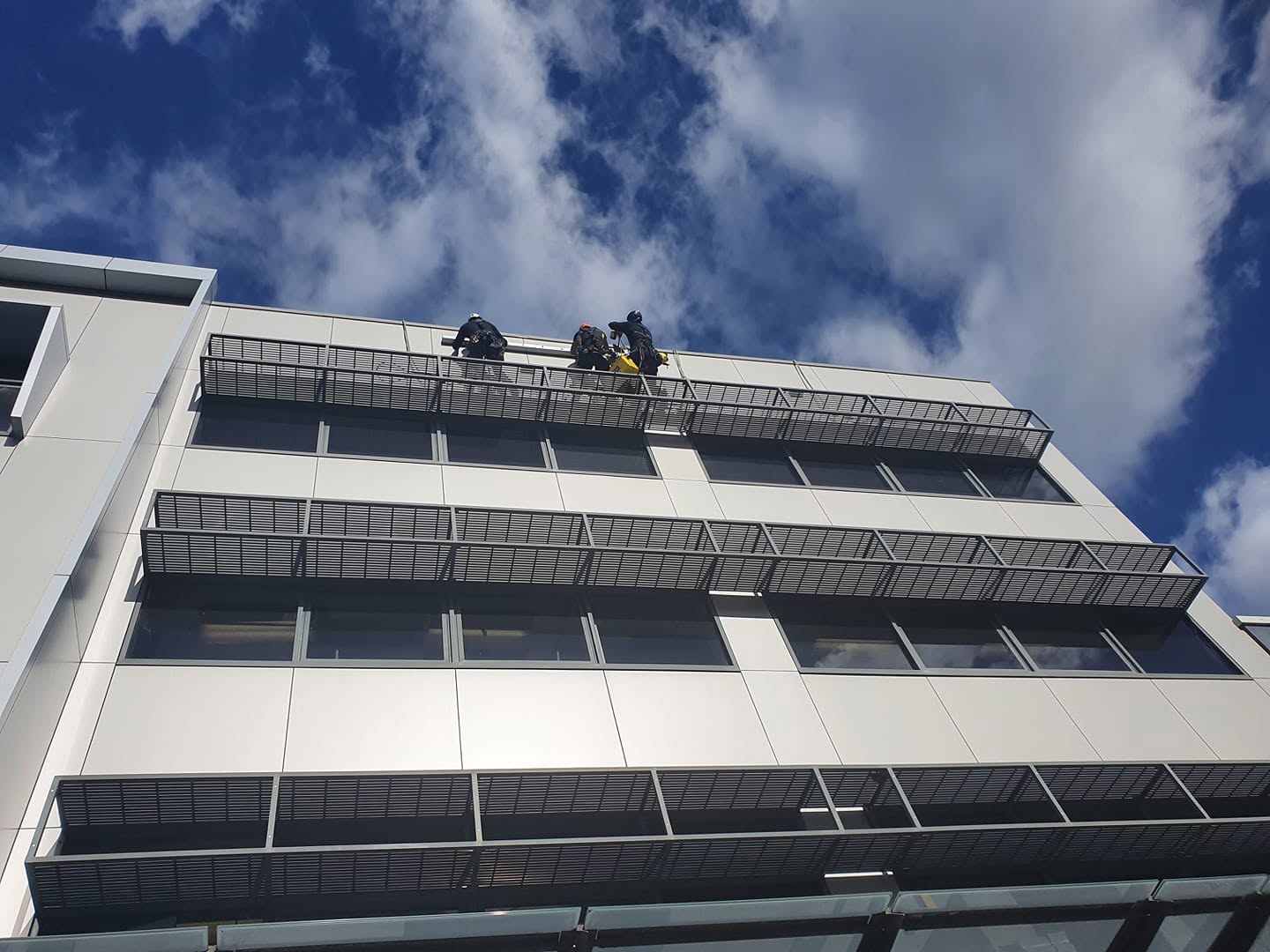Rope-access installers at work on a high-rise facade